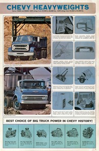 1966 Chevrolet 50 to 80 Truck-06.jpg